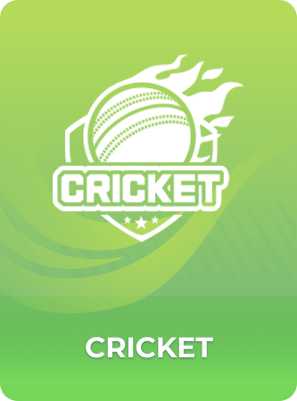 Cricket game on 92 Game Pakistan