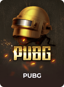 PUBG on 92 Game